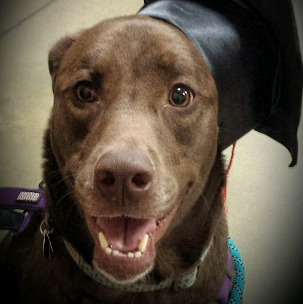 Meet your Posher, Tricia